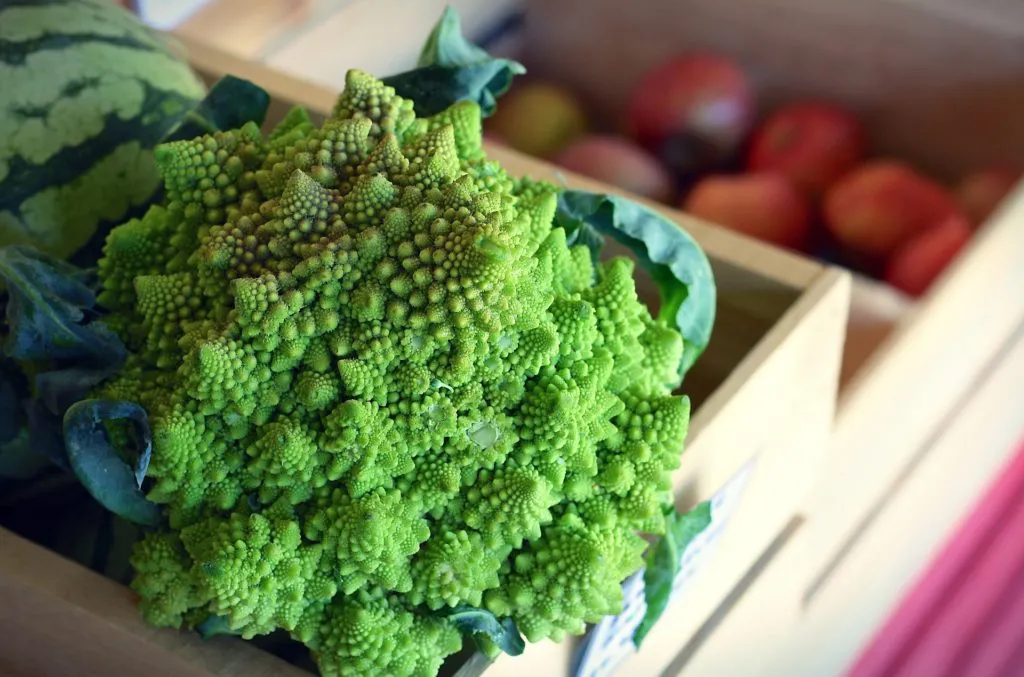 Le proprietà antiossidanti dei Broccoli