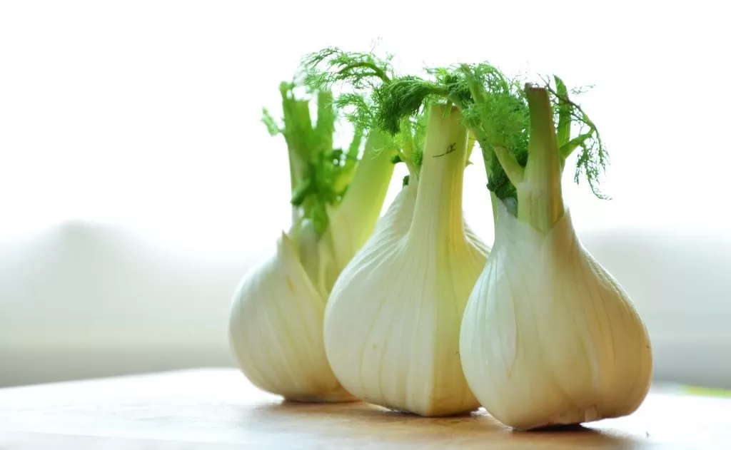 C’è un ortaggio che aiuta l’allattamento materno? Si, il Finocchio!