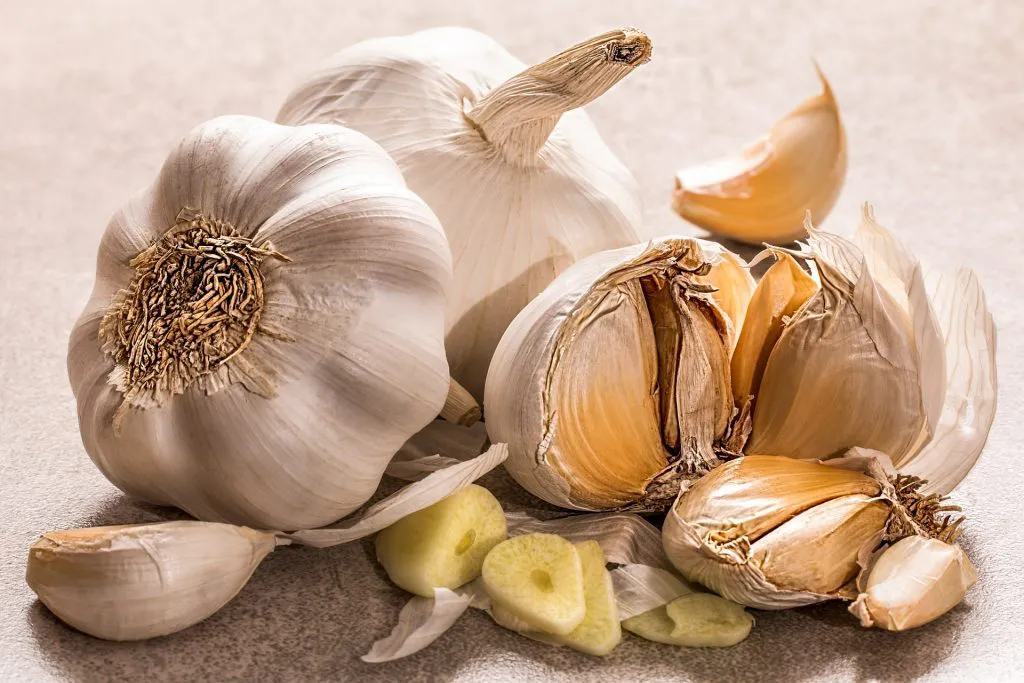 Perchè l’aglio riduce la pressione arteriosa?