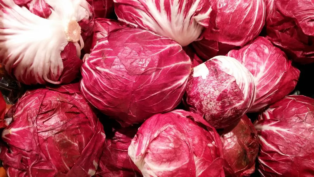 Radicchio: in poche calorie tanti nutrienti