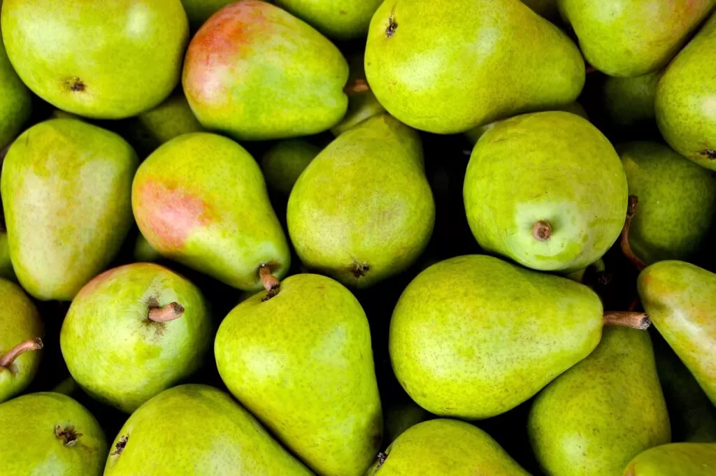 Pere, tutto quello che devi sapere.