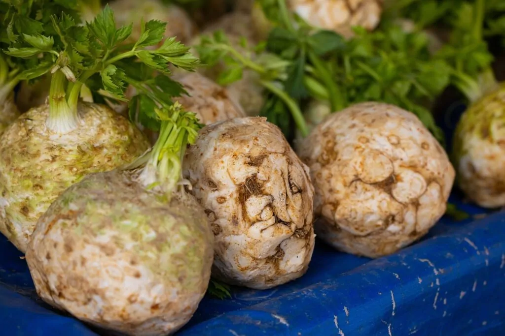 Sedano Rapa: proprietà nutrizionali, benefici e rischi – Scopri se fa per te e la tua famiglia!